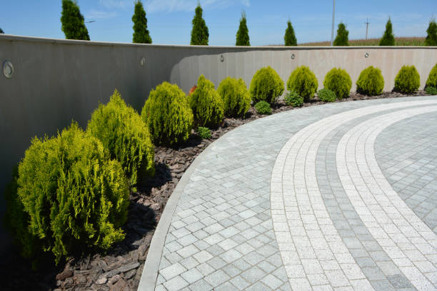 Best Driveway Paving Contractor  in Marcellus, MI